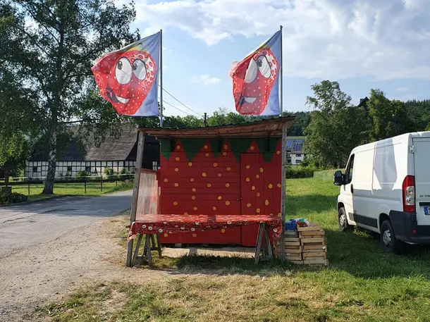 Erdbeeren Alteköster
